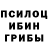 Галлюциногенные грибы мицелий MrAklochihin