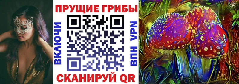 Галлюциногенные грибы ЛСД  omg вход  Задонск 